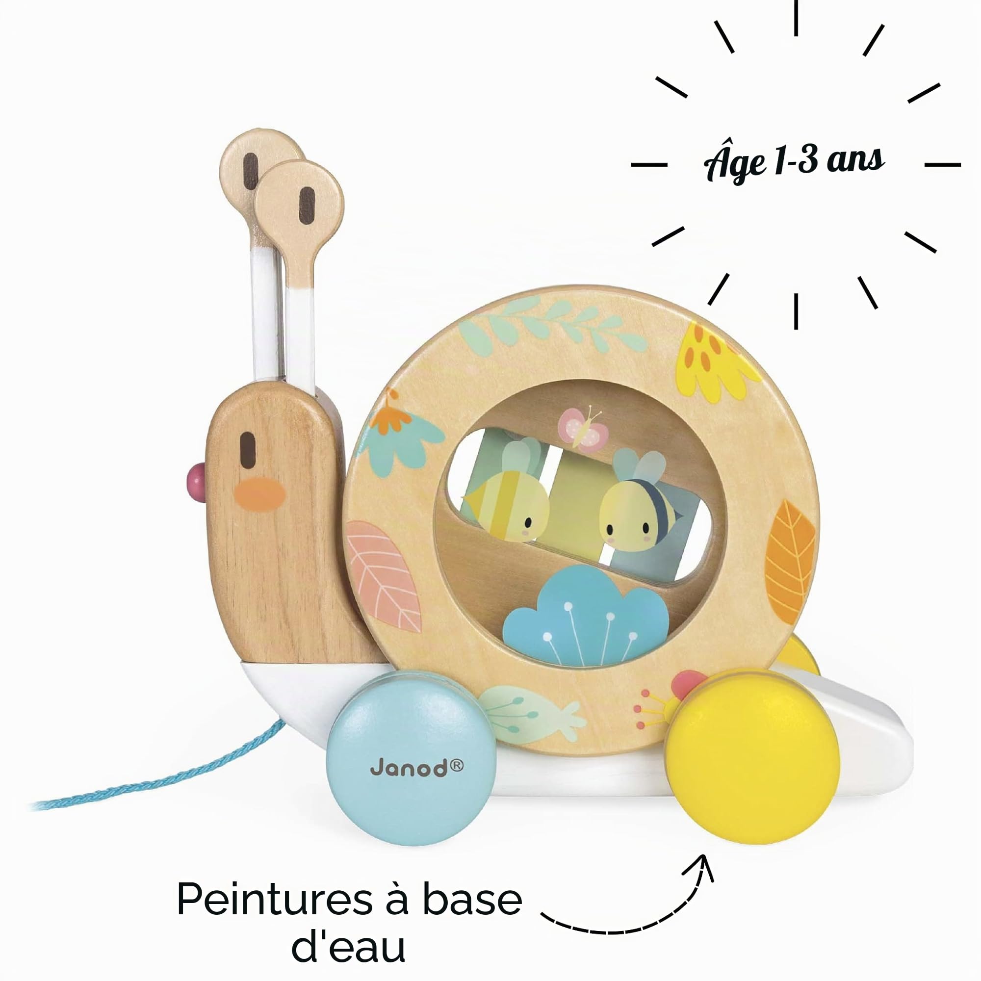 Janod - Escargot en Bois à Promener 12 Mois - Jouet en Bois avec Xylophone et Tambourin - Peinture à l'eau - Jouet Éducatif d'Éveil Musical 1er Age - Dès 1 an