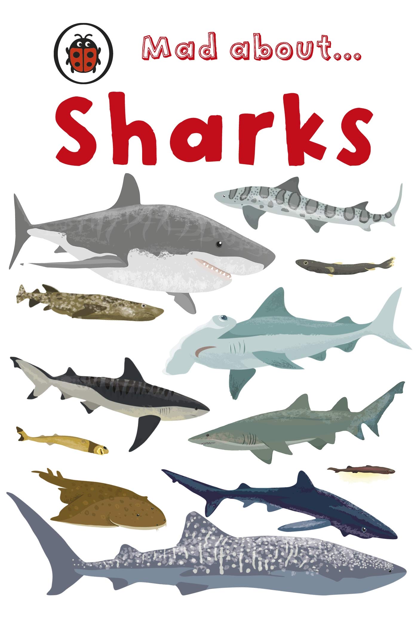 Mad About Sharks Hardcover – 6 Mar. 2008