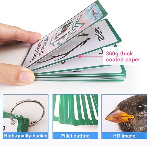 Miniatura 4 de 12 unidsset animales partes del cuerpo regalos niños tarjetas flash inglés tarjeta de bolsillo educativo aprendizaje bebé juguetes para niños