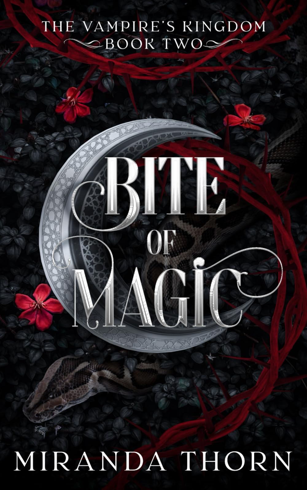 Bite of Magic: An Enemies to Lovers Urban Fantasy Romance (The Vampire's Kingdom)