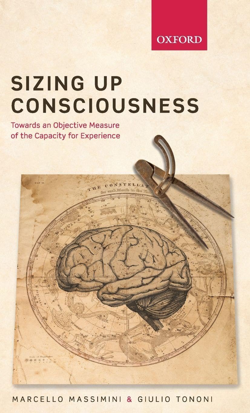 Sizing up Consciousness: Towards an objective measure of the capacity for experience