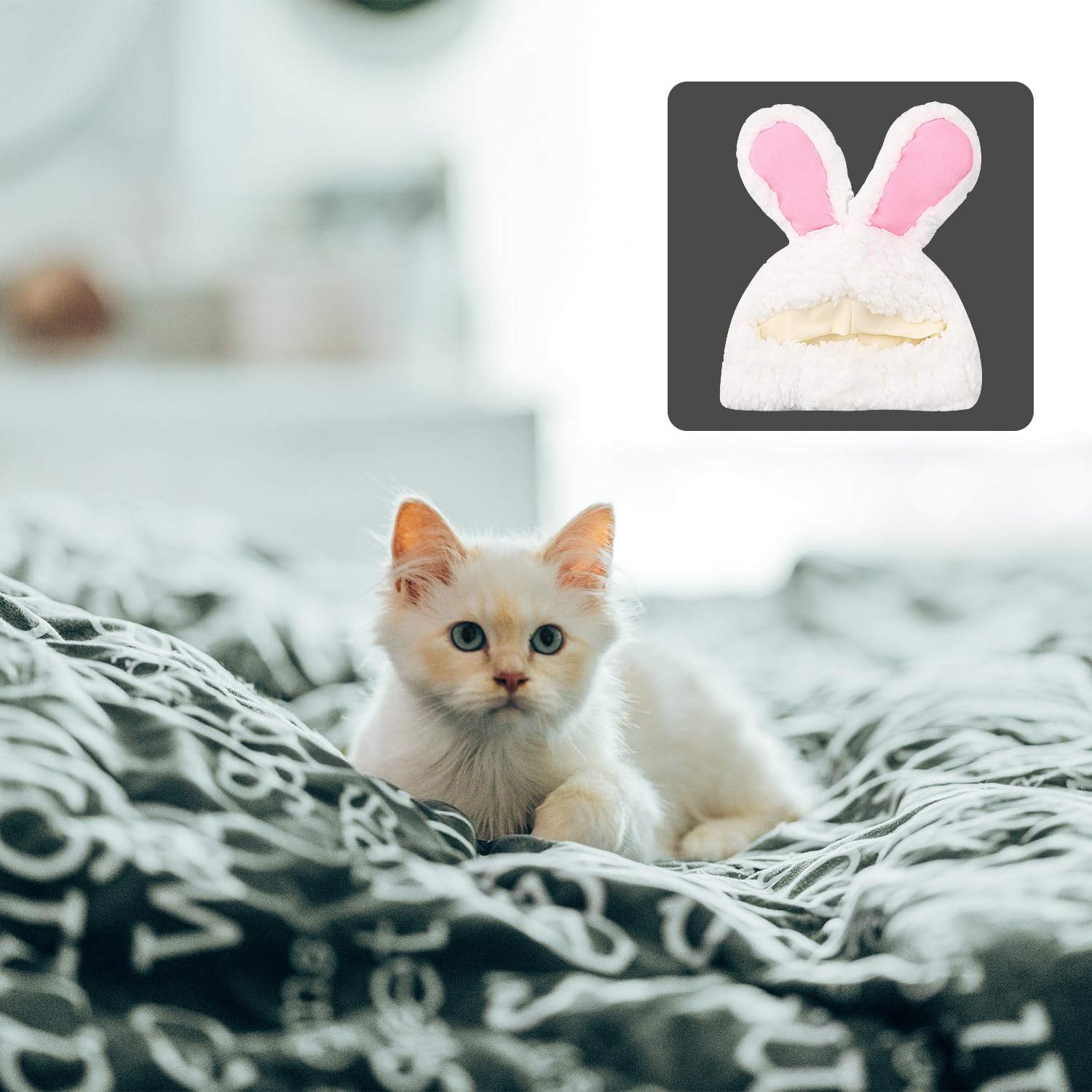 Rumyve Pet Headdress,Cat Rabbit Ears Hat,Cat Hat Cat Costume Rabbit Hat ...