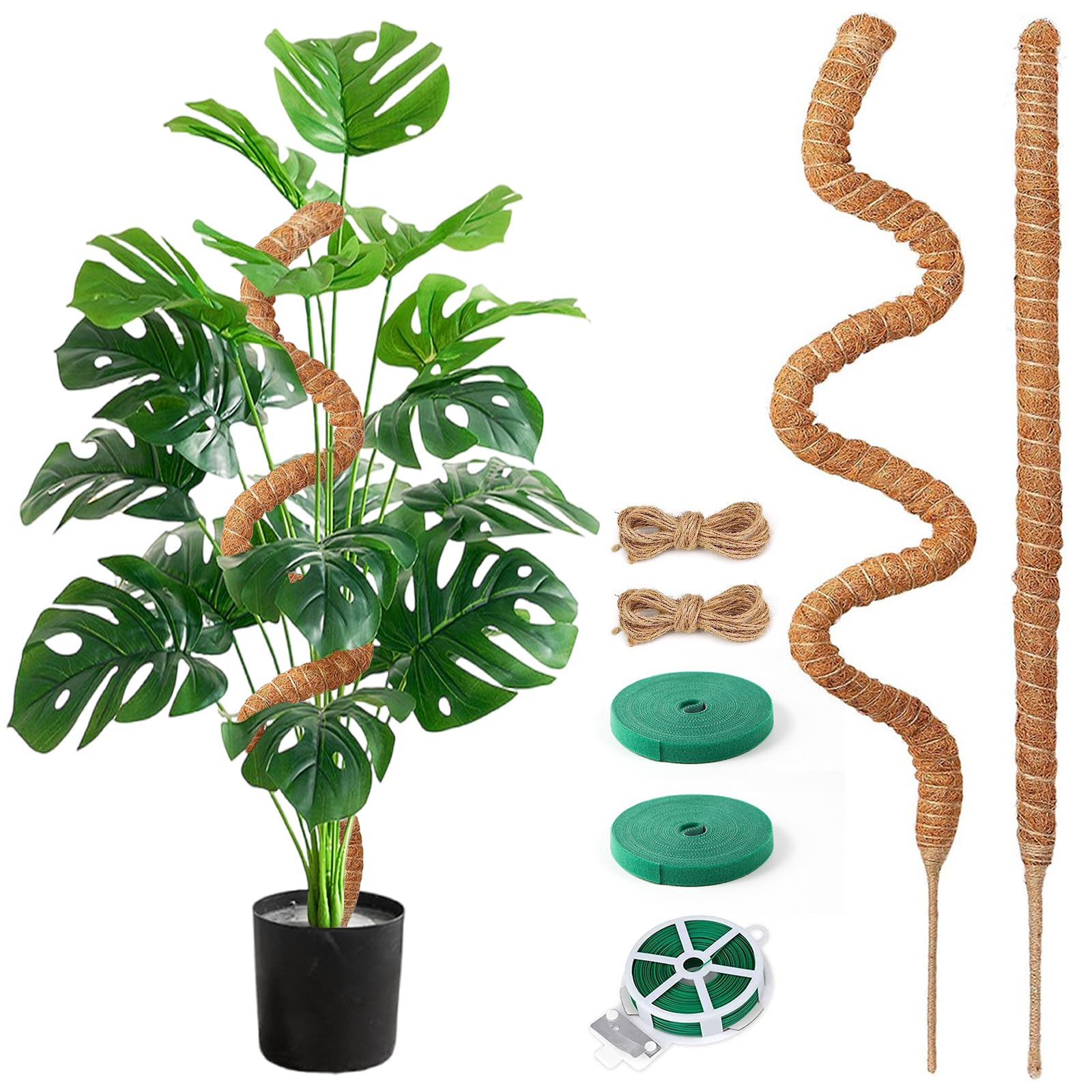 Aulese Podprka do rolin pncych Monstera 75 cm, 2 sztuki prtw, wsparcie  dla rolina pokojowych : Amazon.pl: Ogrd