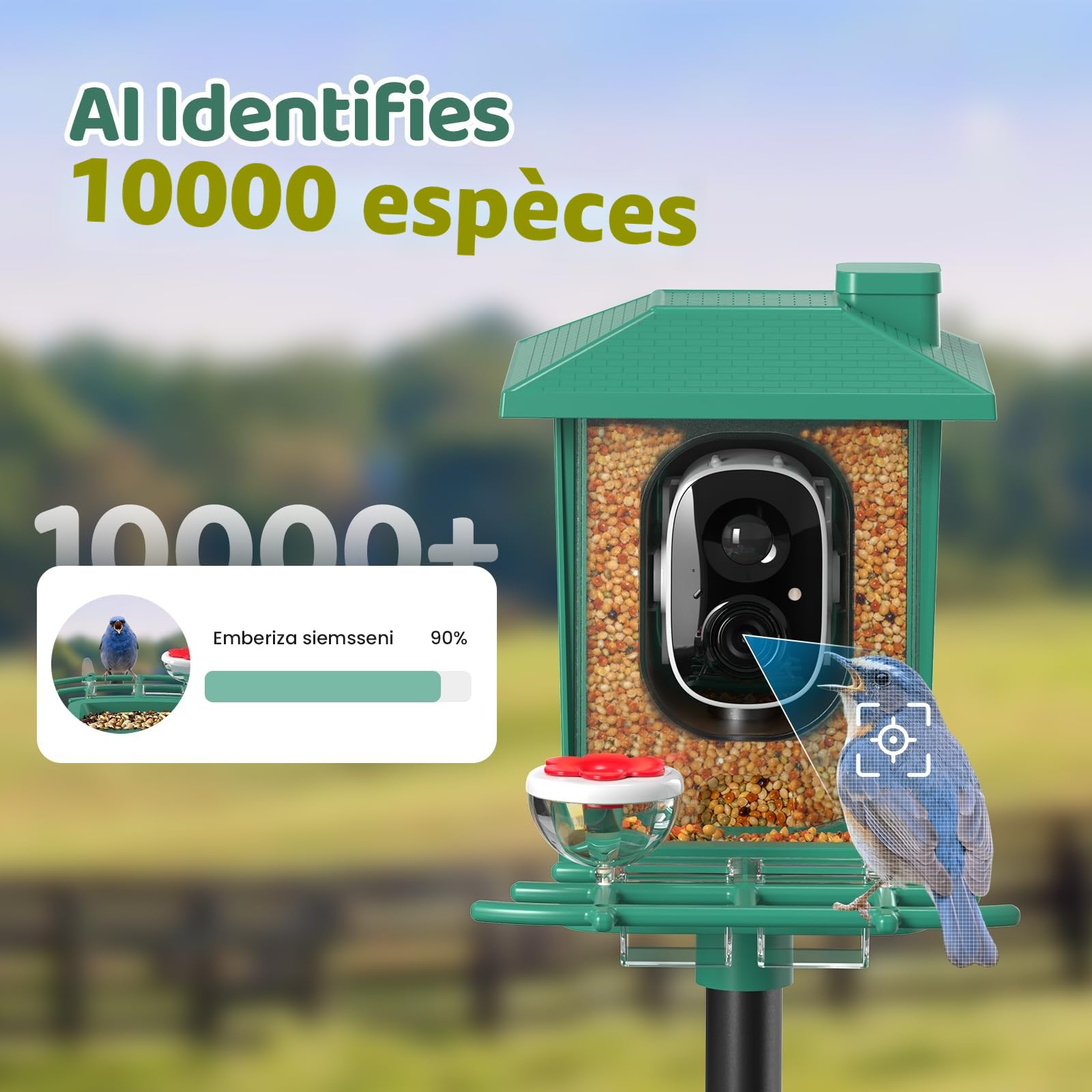 Mangeoire Oiseaux Exterieur Camera Solaire: 2K HD Camera WiFi Exterieure sans Fil - Nichoir Mesange Exterieur Abreuvoir Oiseaux Sauvages IP66 - Enfant Parent Cadeaux d'amoureux des Oiseaux