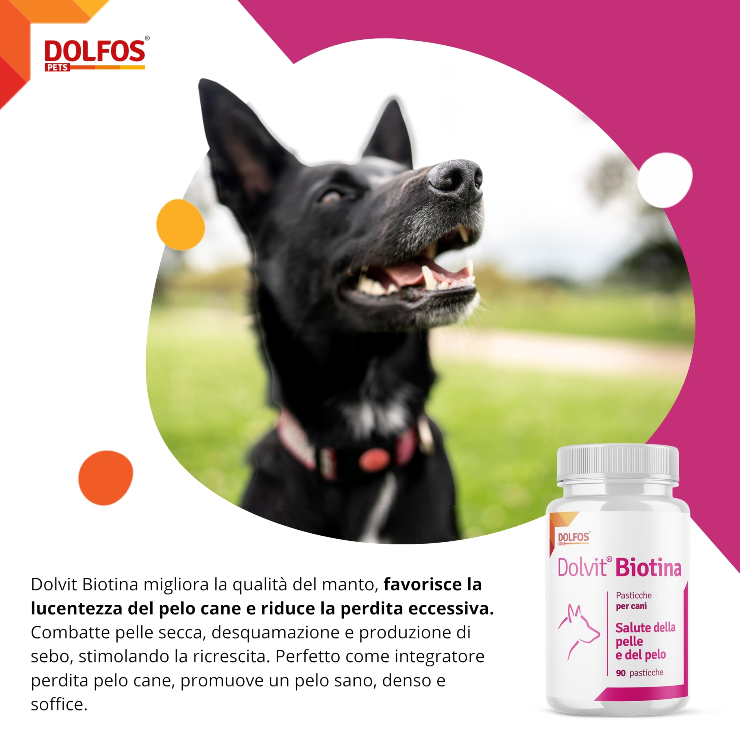 Dolfos Dolvit Biotina - Integratore per il pelo e la Pelle del Cane - Cura la perdita del pelo - Favorisce la lucidità