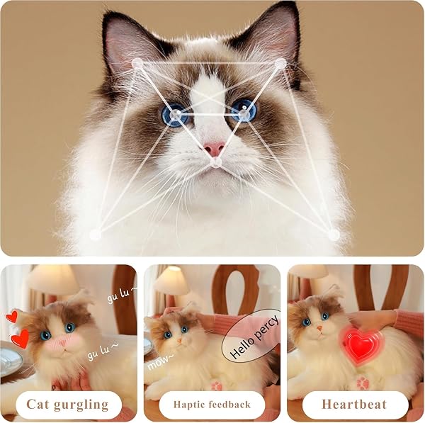 Chongker Gatos robots de acompañamiento interactivos - 2