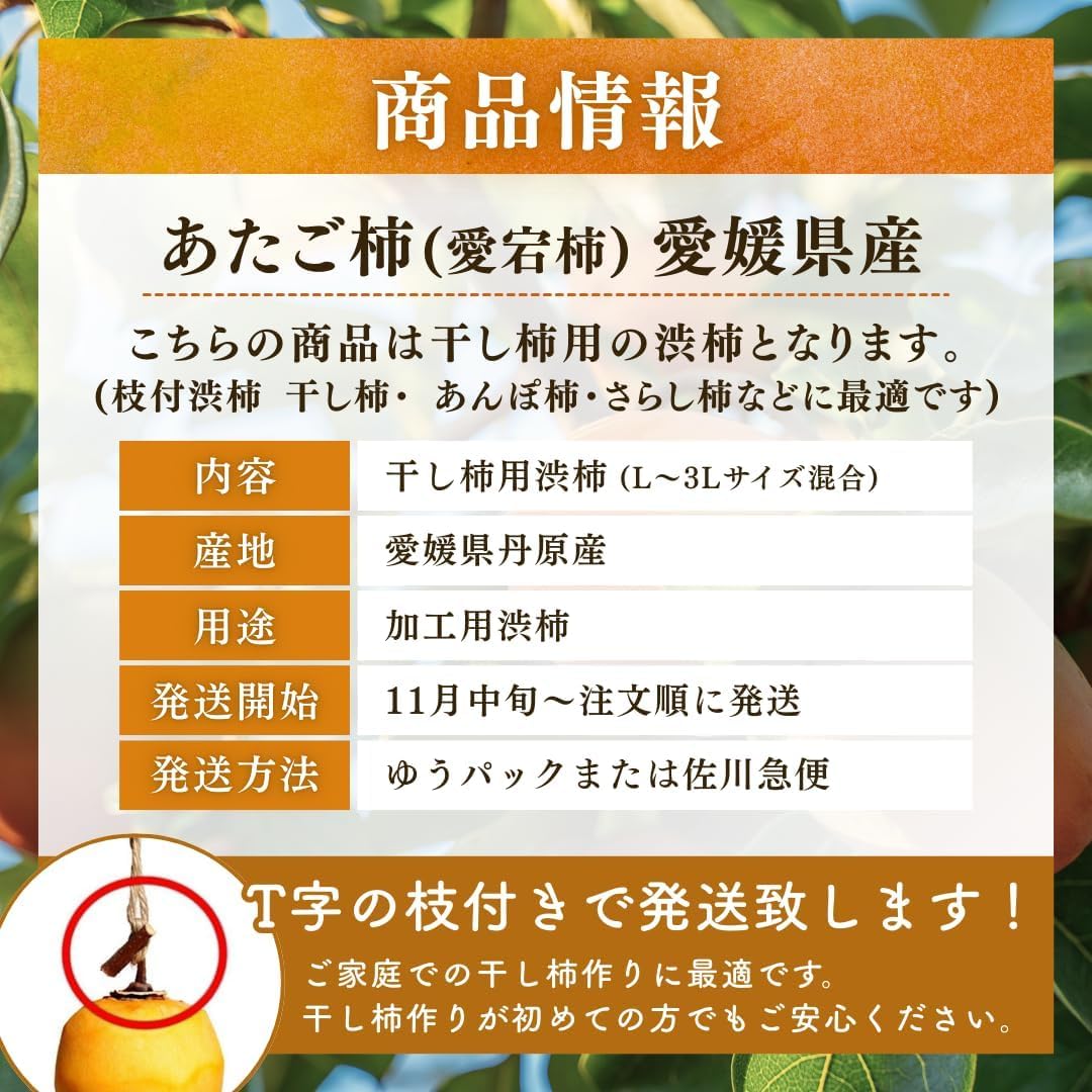 Amazon.co.jp: 柿 かき あたご柿 渋柿 干柿用渋柿 《佐竹果樹園の