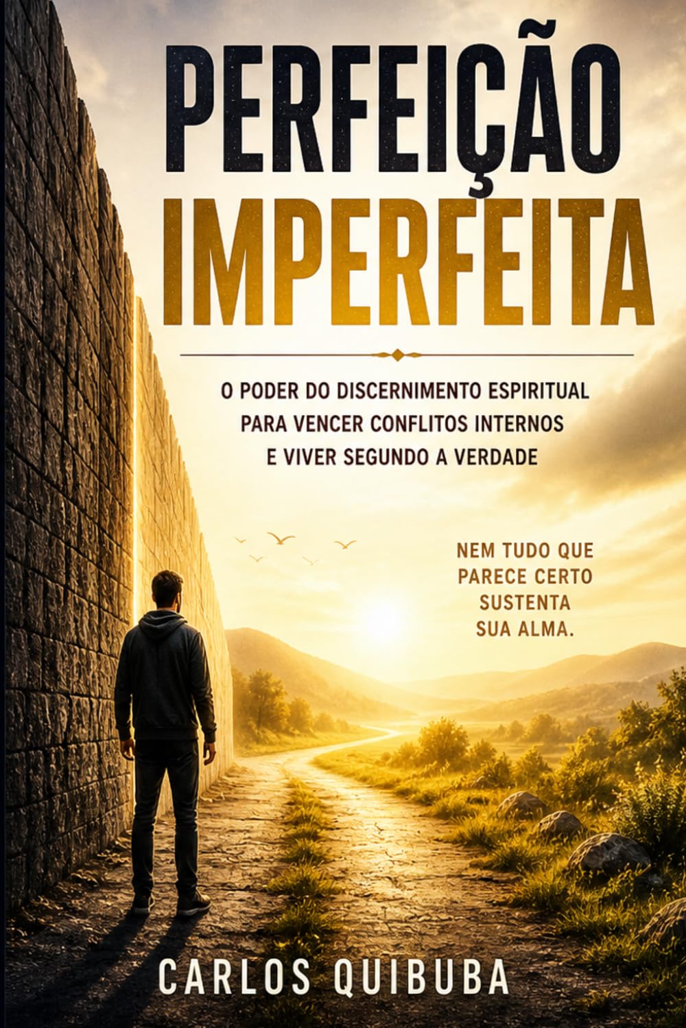PERFEIÇÃO IMPERFEITA: O Intrigante Minuto da Decisão. O Poder do discernimento Espiritual para vencer conflitos internos e viver segundo a verdade. NEM TUDO QUE PARECE CERTO SUSTENA A SUA ALMA.