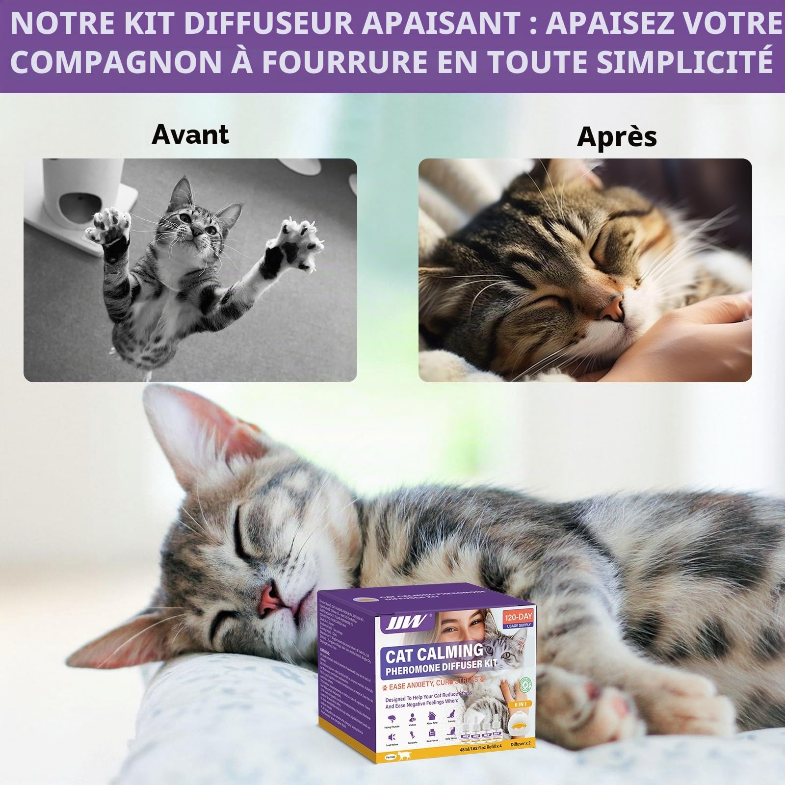 JJW Kit diffuseur de phéromones apaisantes 6 en 1 pour Chat - Soulager l'anxiété, réduire Les Combats/griffades, 2 diffuseurs + 4 recharges, 120 Jours d'utilisation (01) (Violet, XL)