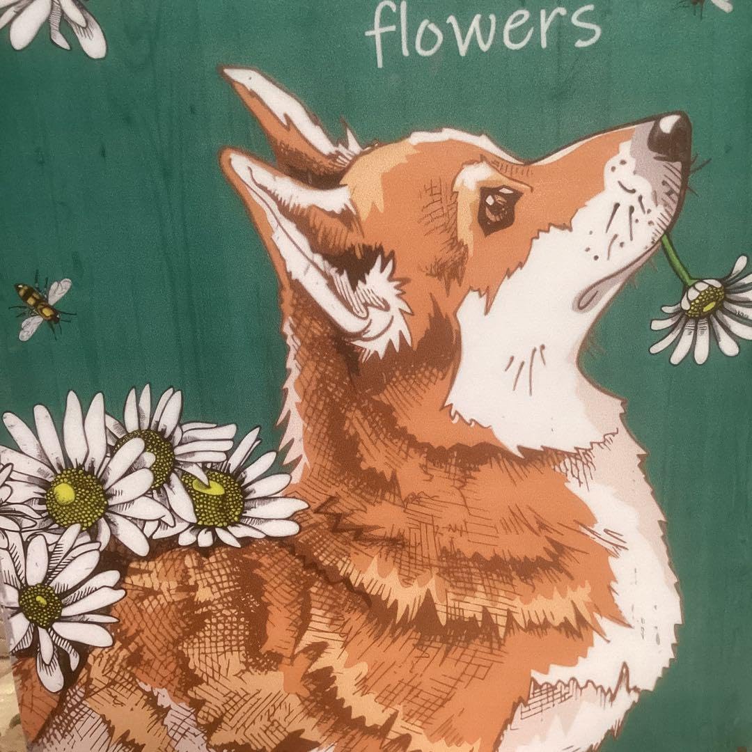 Amazon.co.jp: ブリキ看板 コーギー 犬 可愛い パネル 雑貨