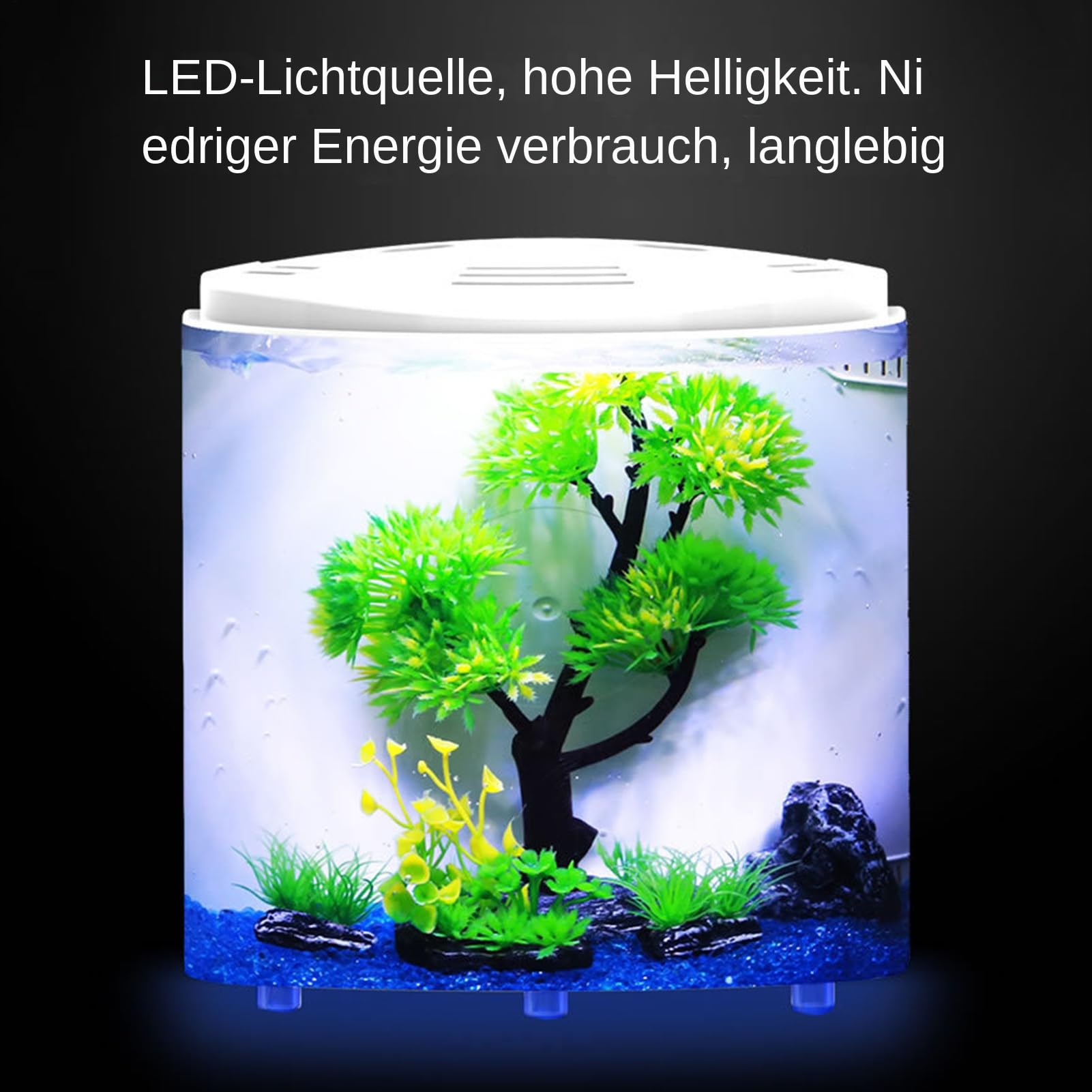 Mini Aquarium de Bureau - avec Pompe à Eau - 2 l - Espace de Vie | transparent pour étoiles de mer, escargots et animaux aquatiques - Gain de place - Pour la maison, le bureau et le bureau