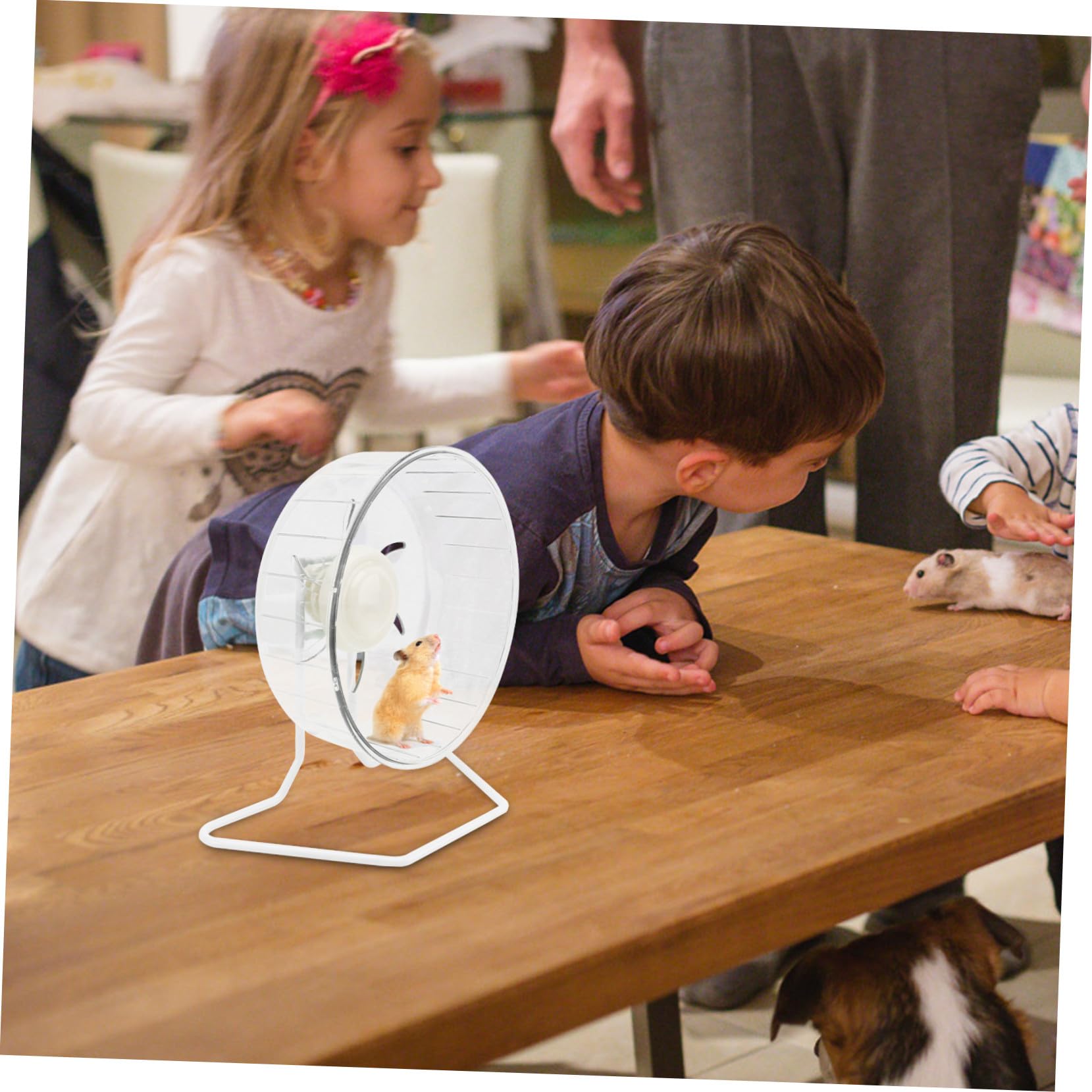 Hamsterlaufrad Leise für Maus und Gerbil, Kunststoff Eisen Weiß