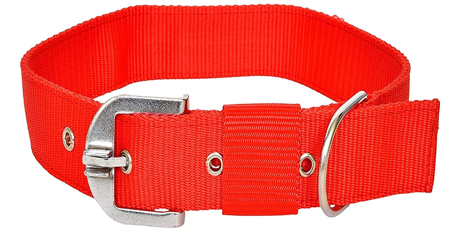 RvPaws Red Nylon 1.5 inch Dog Collar Belt Specially for Big Dogs Neck Size 48cm to 64cm Lengthy Dog Collar (B09HQHQVCY) Amazon Price History, Amazon Price Tracker