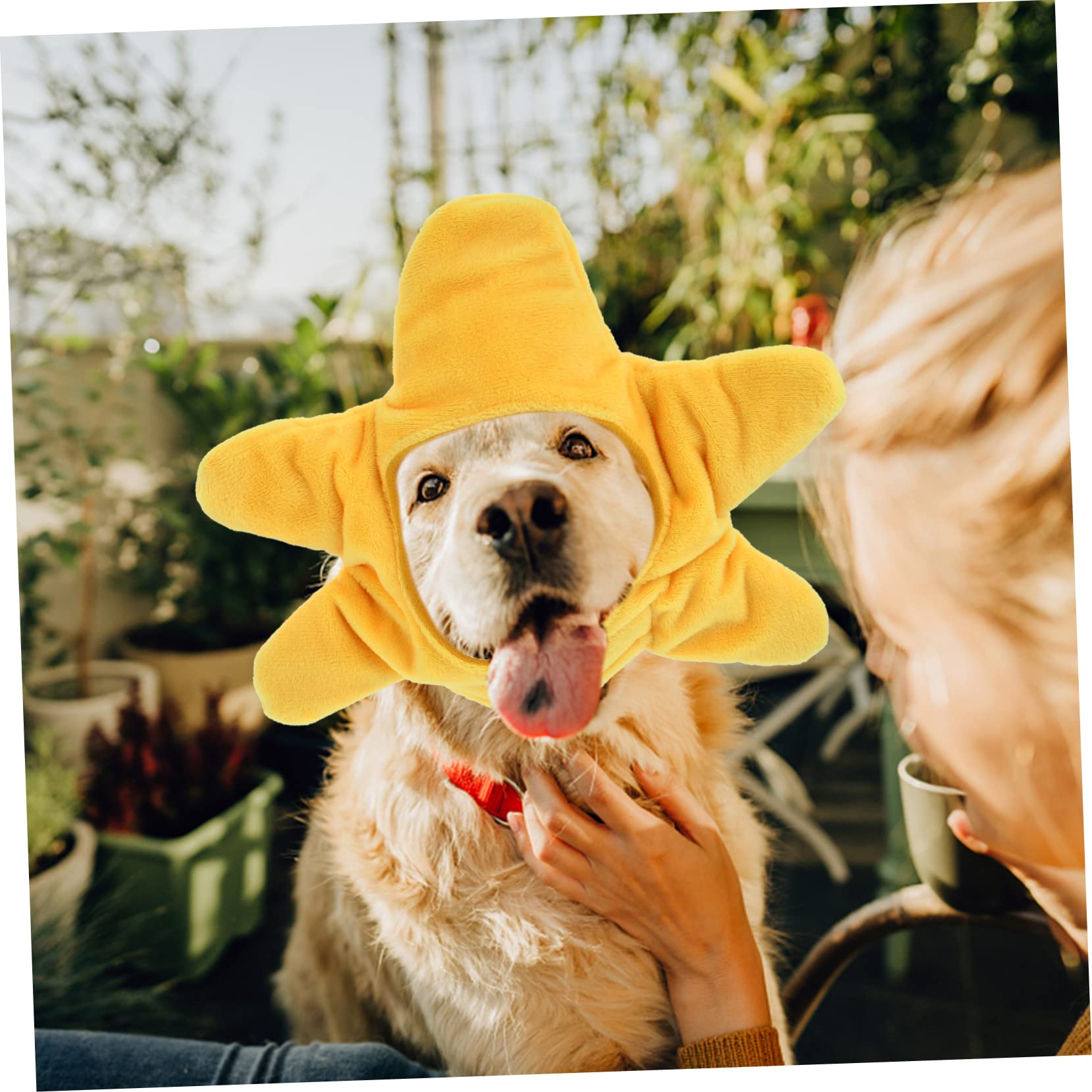 Hohopeti Funny Pet Hat Shape Dog Cat Costume Christmas Party Accessory Comfortable Fabric Fashionable Cap for Dogs and Cats Festive Dress up - Image 3