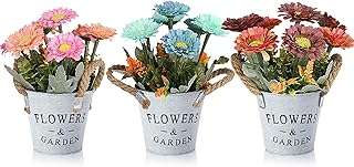 HOTLIKE Piante Artificiali Finti in Vaso, 3 Pezzi Fiore Artificiale, Pianta Finta Fiori Secchi con Vasi da Interno e Esterno Decorazioni Casa Scrivania Cucina Natale Casa Matrimonio Regali (Stile 6)