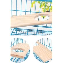 Wooden Stand Platform Parrot Budgie Parrot Parrot Conure Hamster Mouse Chinchilla