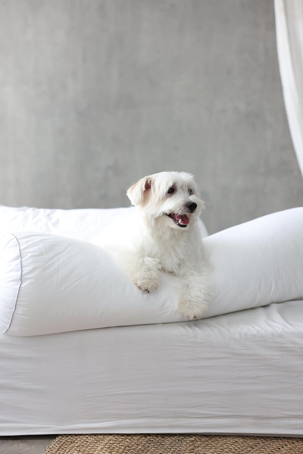 Koalu FeatherEase Bolster