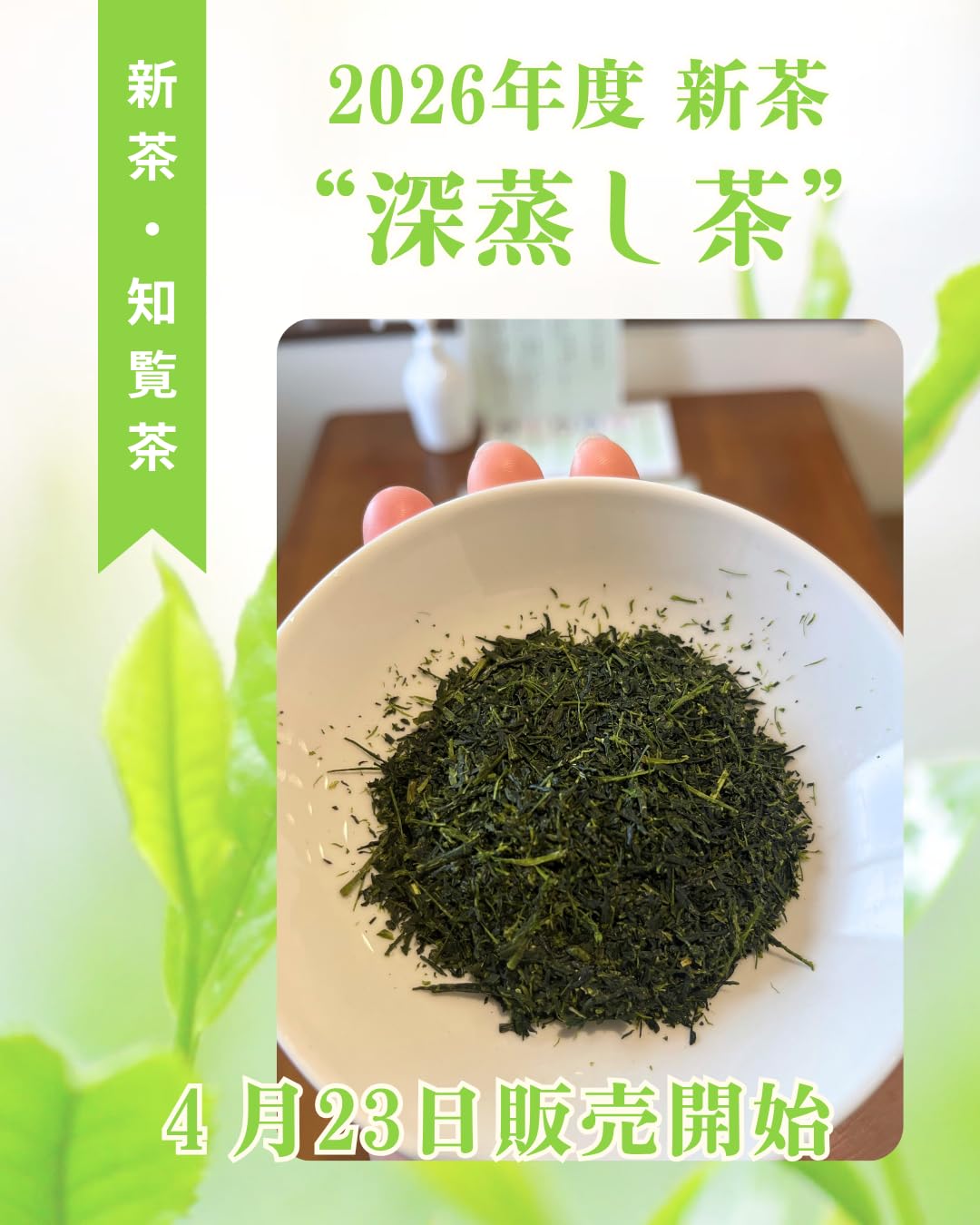 Amazon | 【銘茶園】 知覧茶 高級煎茶 若つみ深蒸 深蒸し 煎茶 | 銘茶