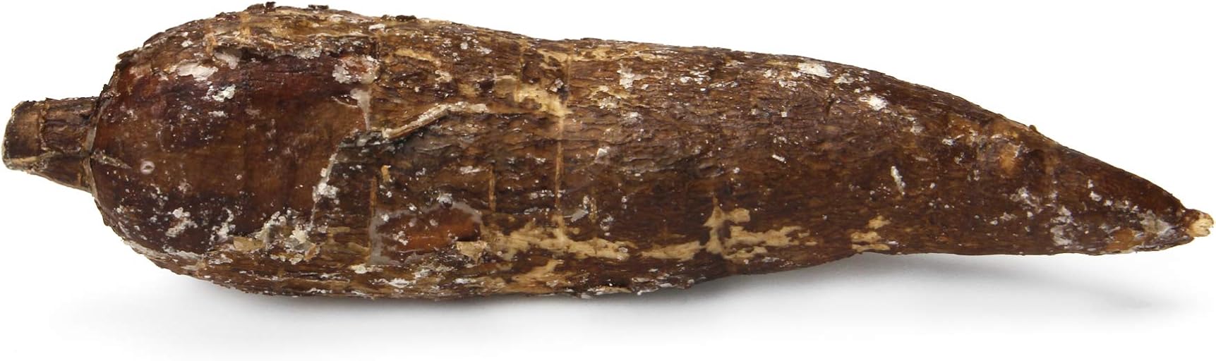 B0787Y62CT