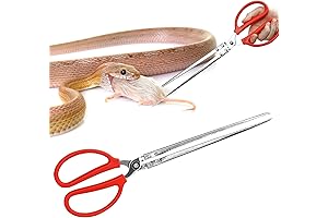 Heavy-Duty Snake Feeding Tongs: Precision Tools for Ball Python Tanks