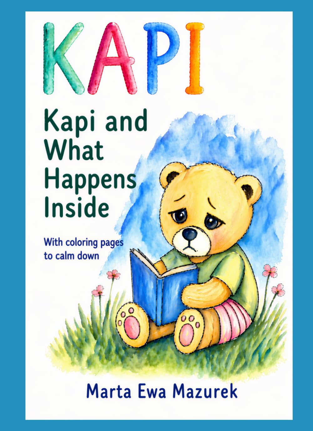 KAPI: Kapi and What Happens Inside