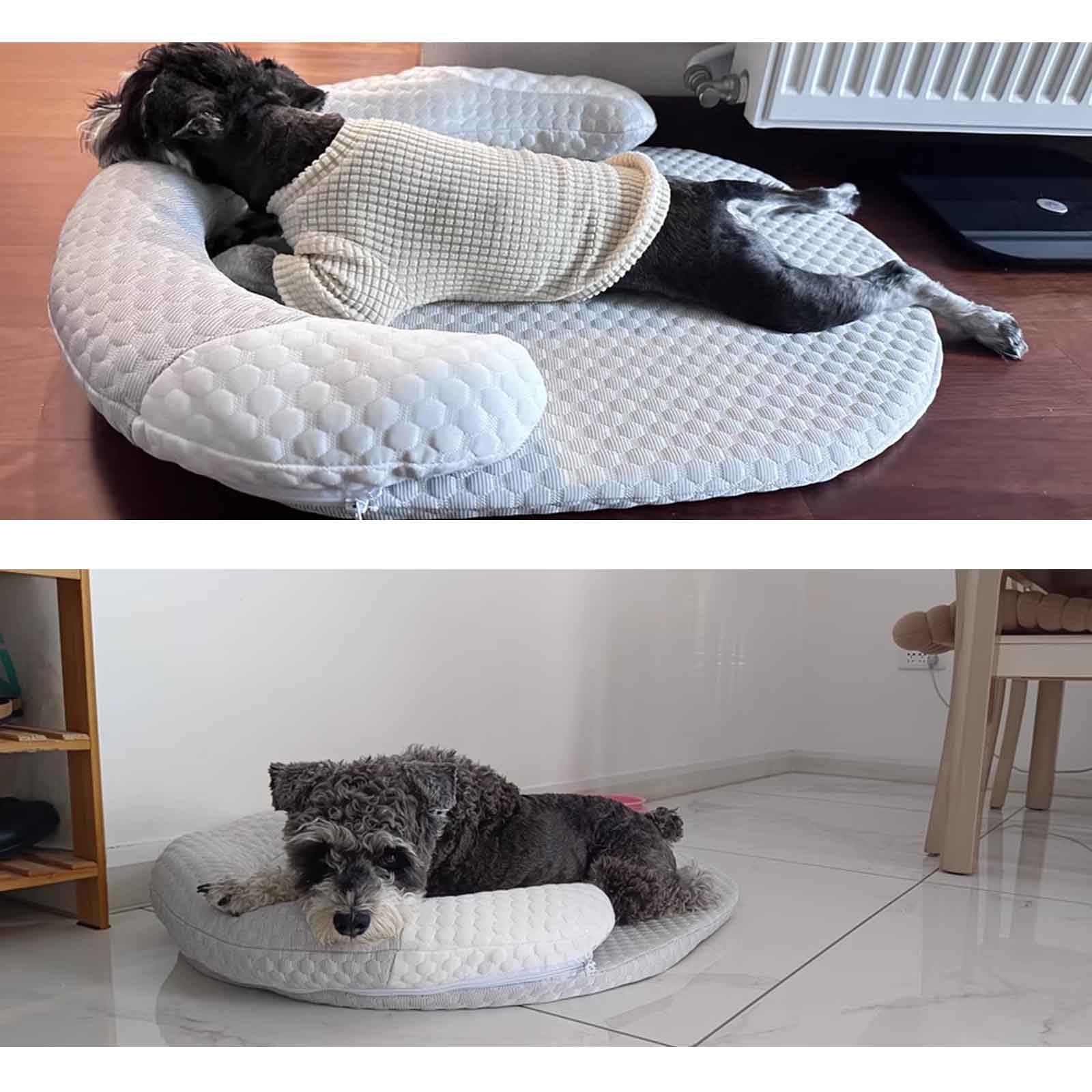 con Funda extraíble Lavable y Base Antideslizante(XL)