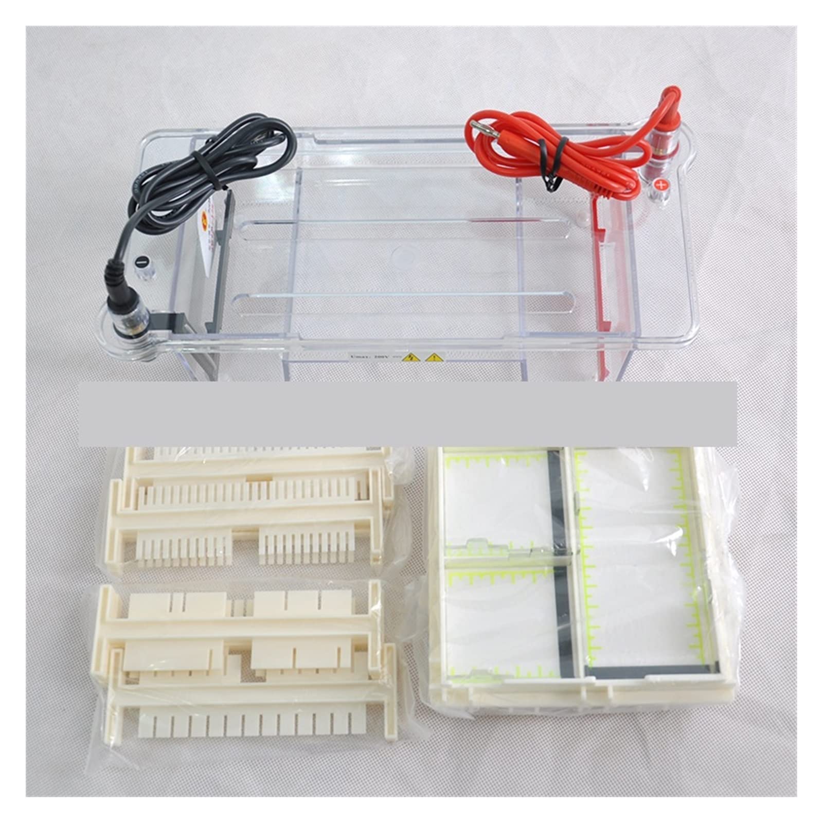 Gelelektrophoresesystem, Elektrophoresegerät, DYCP-31BN Typ Agarose-Level-Elektrophorese-Instrument Kleiner Elektrophorese-Tank-Spot für Klassenzimmer und kleine Labore