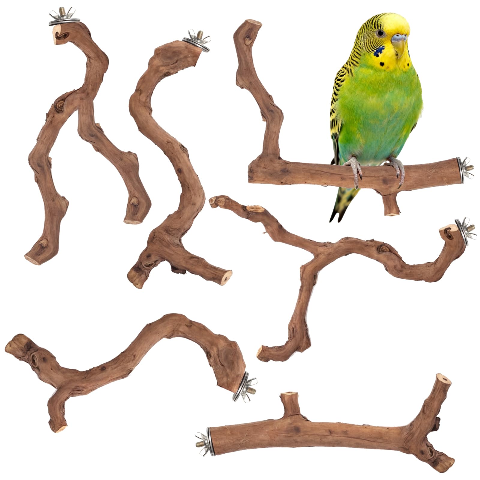 6-Piece Premium Bird Perch Stand with Natural Grape Wood Branch, Paw Grinding Fork, Chewing Stick, Cage Accessories for Parakeets, Budgies, Cockatiels, Finches, Lovebirds