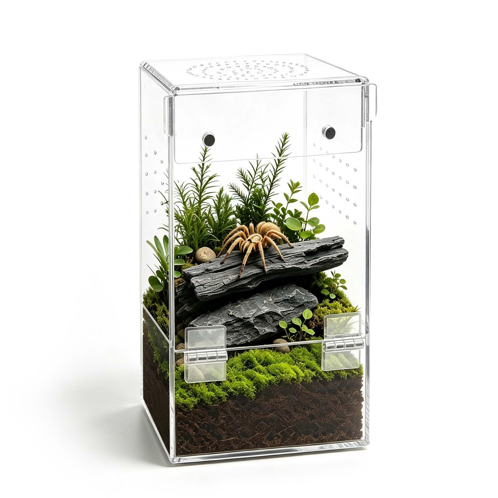 Akrylowe terrarium mini faunarium dla skaczących pająków, wysokie 8 × 8 × 15 cm, akrylowe pudełko do karmienia owadów z wentylacją, 360° przezroczyste pudełko hodowlane dla ślimaków, ptaszników