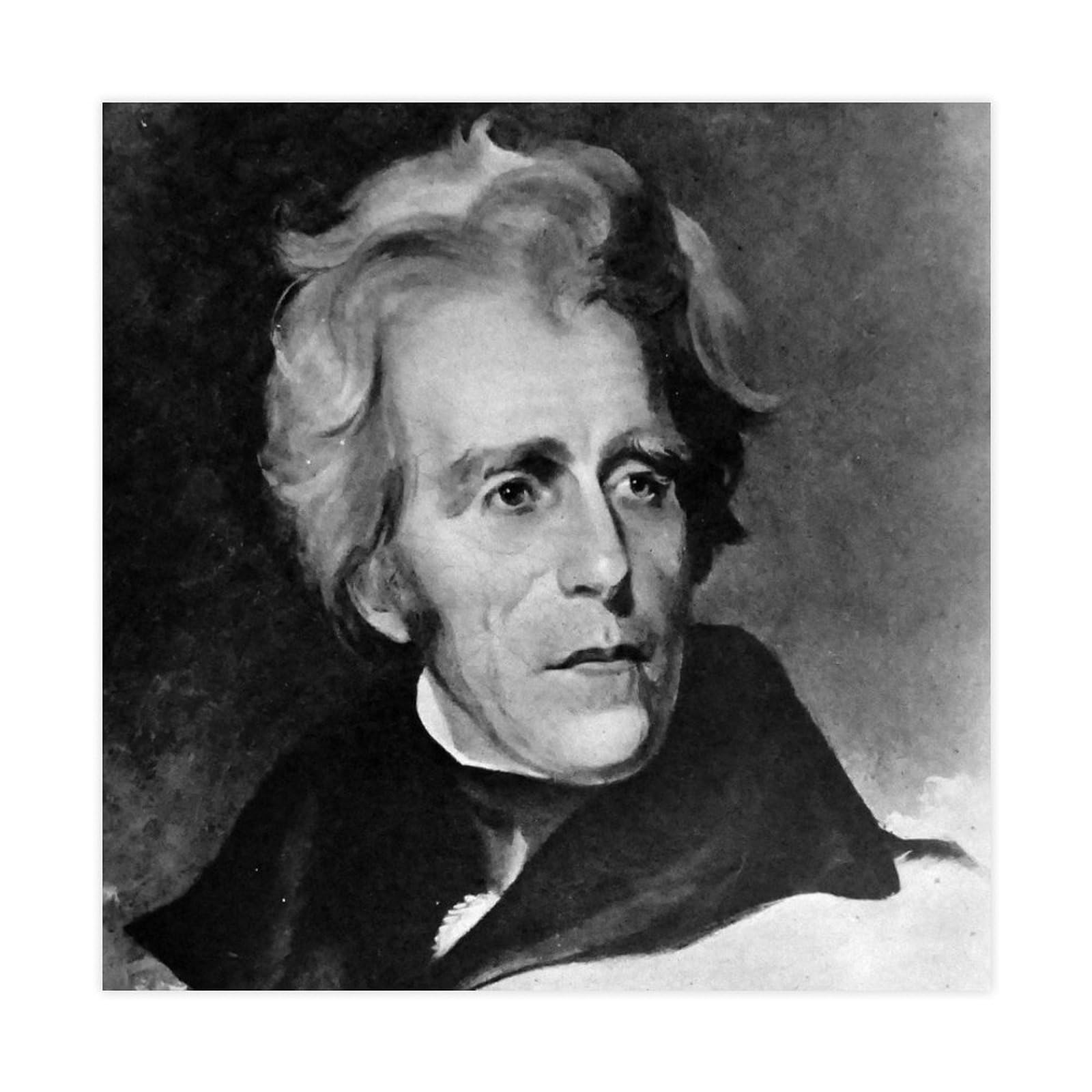 Andrew Jackson Impression Toile Poster Décoration Murale Salon Grand Format Carré - 6