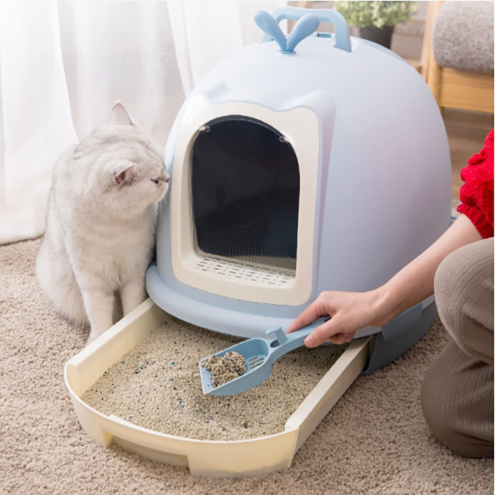The Best DogProof Cat Litter Boxes In 2023