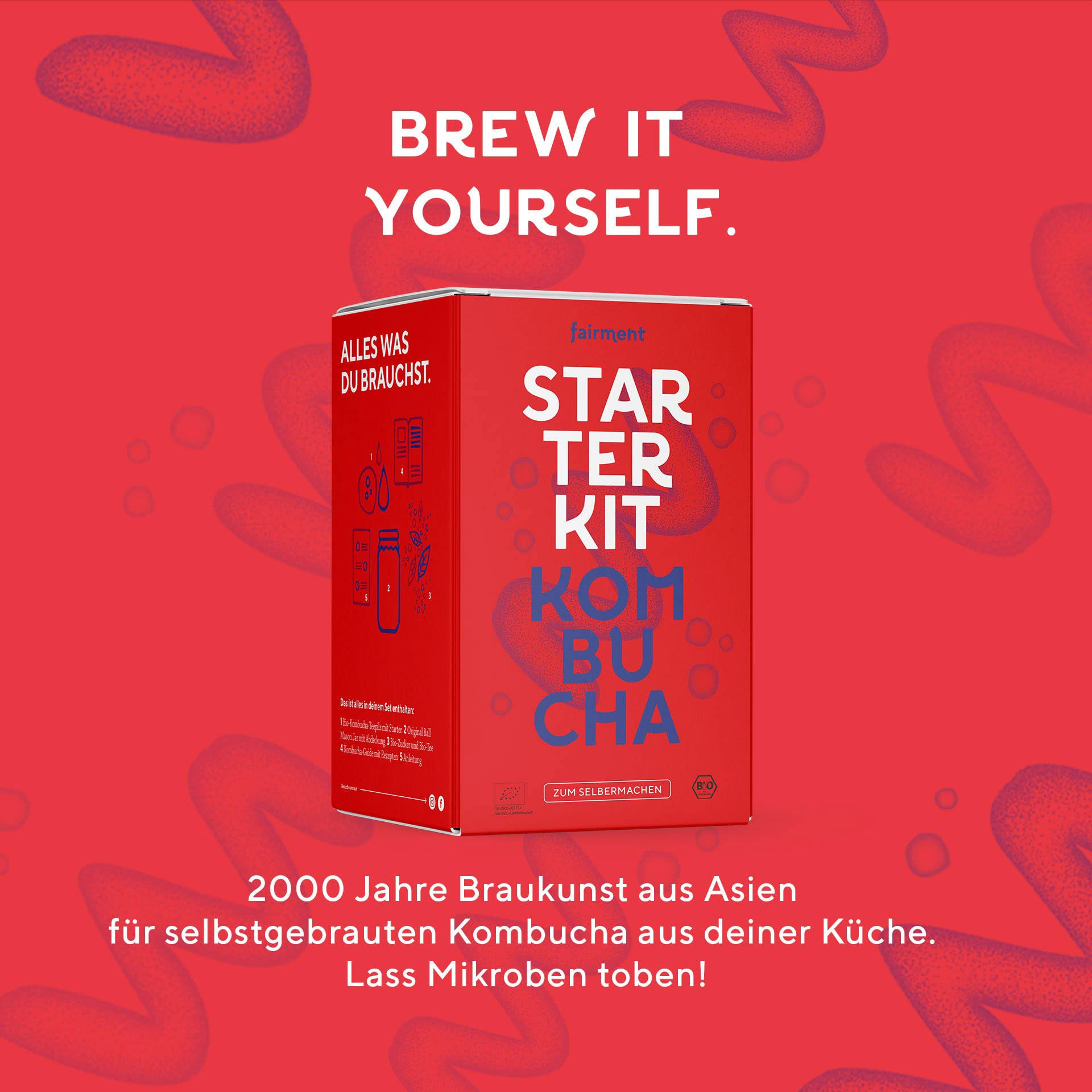 fairment Starterkit Kombucha - Das lebendige Getränk einfach selbermachen - Starter Set mit Bio Kombuch a Pilz (SCOBY), Glas, Zutaten, Zubehör und Rezepten - Kombucha Tee selbst machen