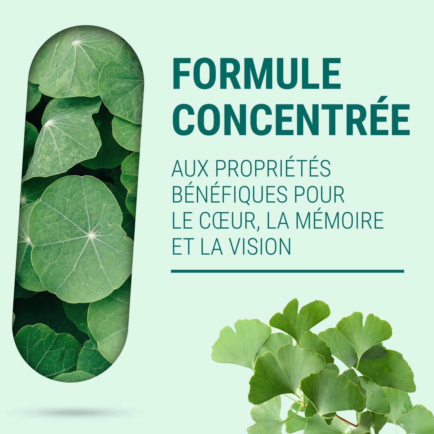 OMÉGAS 3 DHA + - Dosage Fort - O3 & Pureté - Sans Odeur - Anti-inflammatoire - Complément Alimentaire Cerveau Coeur Vision - 150 Gélules - Fabriqué en France - Sans Additif Allergène OGM