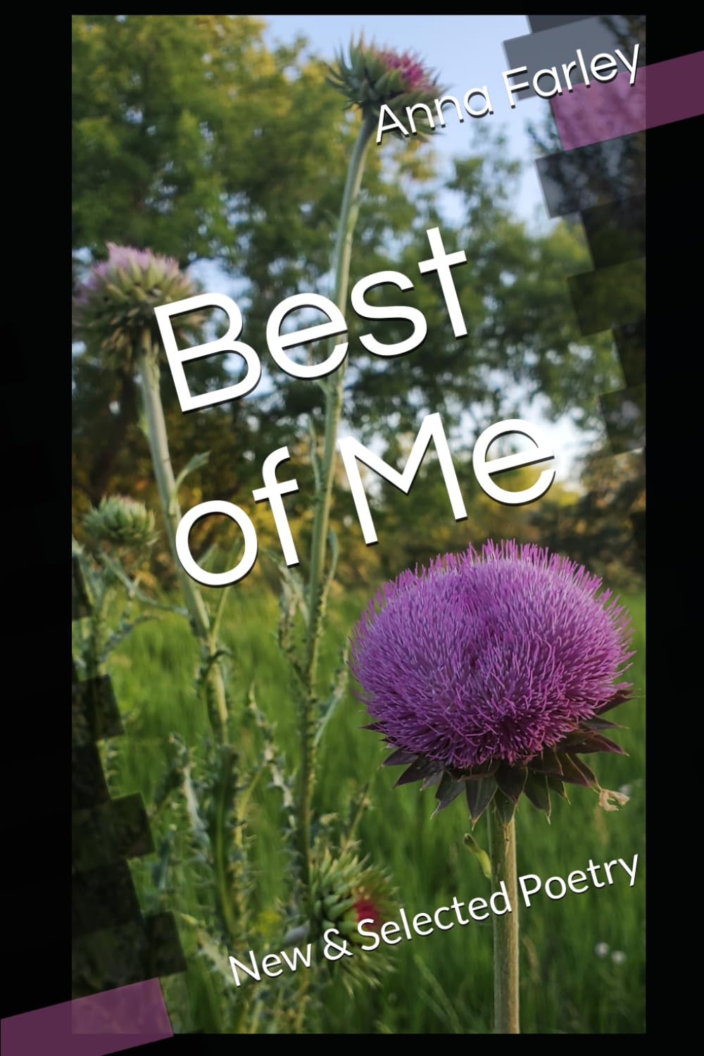 Best of Me: New & Selected Poetry
