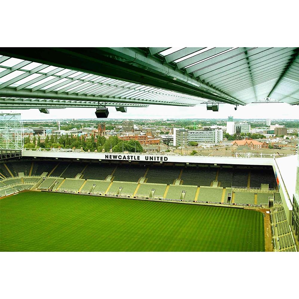 1000（75x50cm）‑Piece Adult Jigsaw Puzzle, St James’ Park, Newcastle, Suitable for Adult Stress Relief, Leisure Games and Home Wall Decoration — image 1