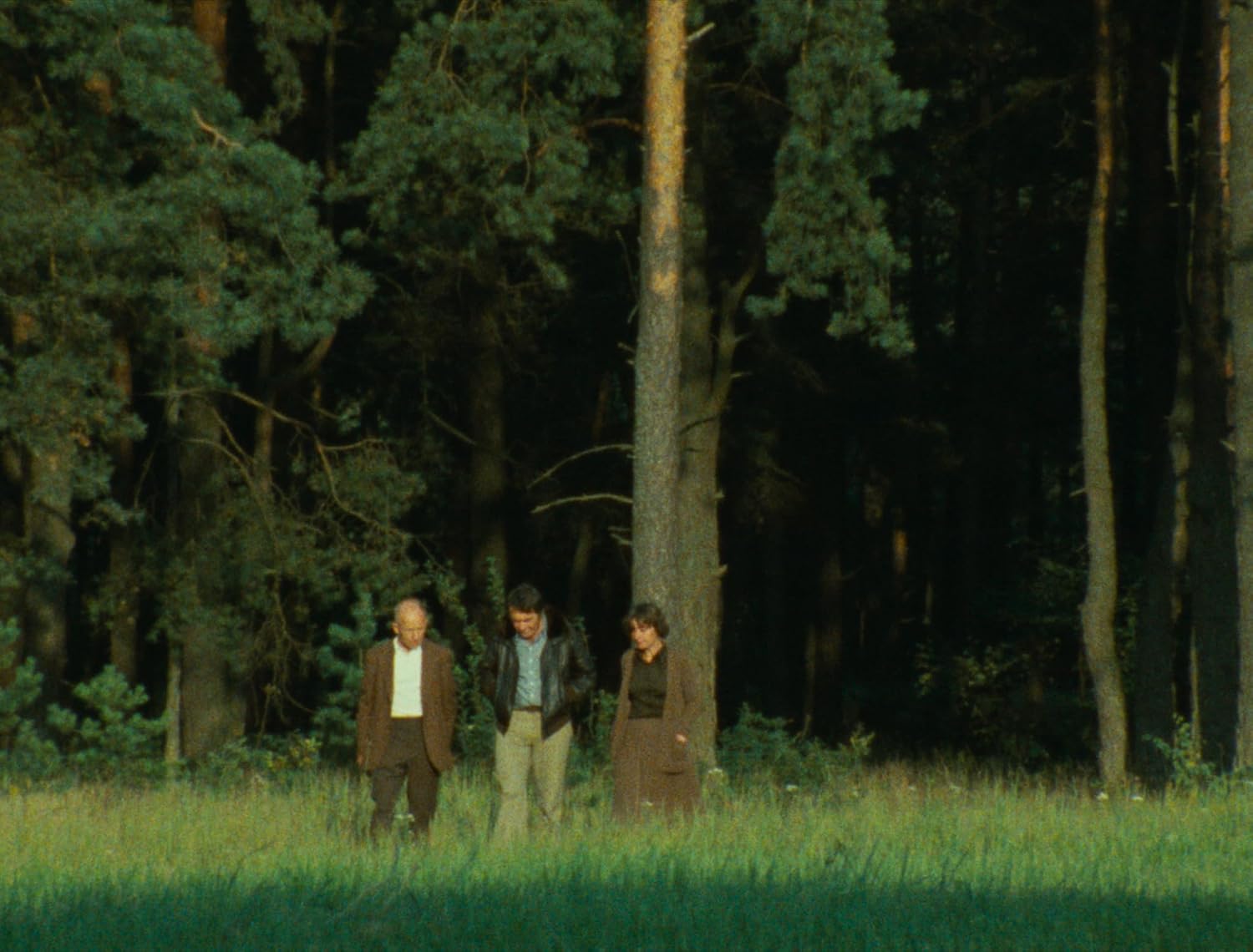 Shoah (The Criterion Collection) [Blu-ray] image 3