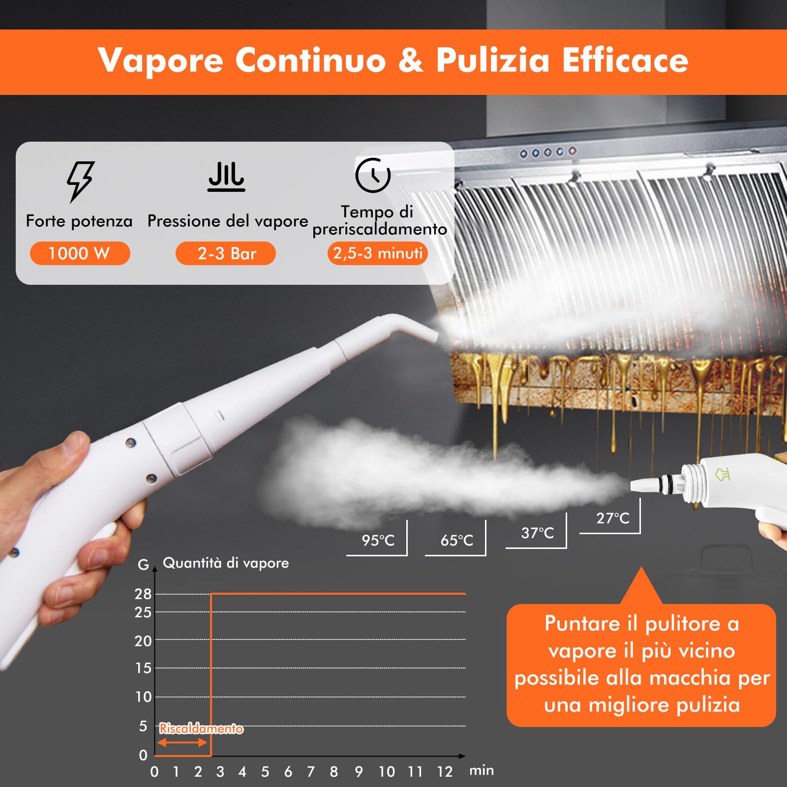 RELAX4LIFE Limpiador a vapor portátil de 1000 W, limpiador multiusos con 10 accesorios, depósito de agua de 300 ml, para suelo de moqueta, cortinas, asientos de coche, cocina, baños (300 ml, verde)