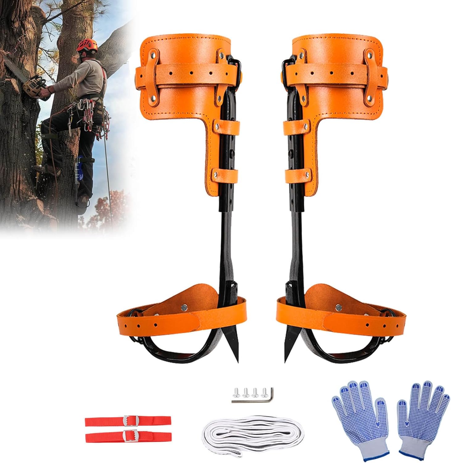 Tree Climbing Spikes, Leather, Extra-Large, with Protective Belt, Rope, Foot Belts and Gloves
