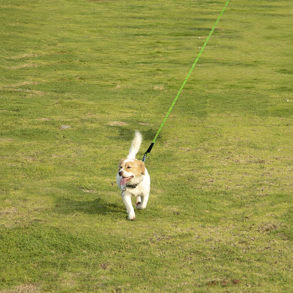 Vivifying Longue Laisse Flottante réfléchissante pour Chien avec poignée Souple pour Le Camping, la randonnée, la Natation, la Plage et Le lac (Vert)