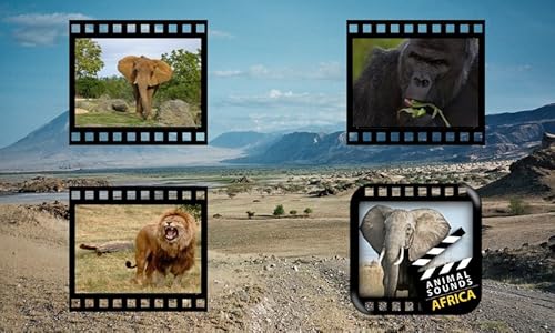 Melhores Animais do Mundo