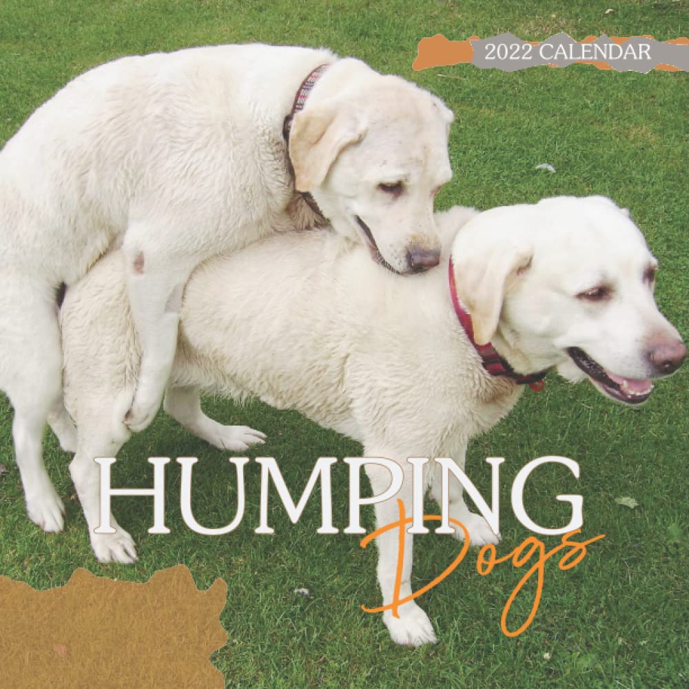 Humping Dogs Calendar: Special Funny Gag Calendar make Everyone Laugh - Great Gifts for Adults
