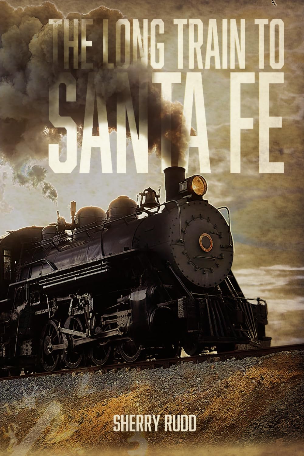 The Long Train to Santa Fe (The Leap Year Series)