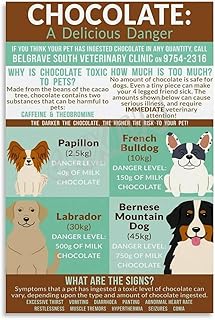 Chocolate Toxicity in Pets Educational Poster Dog And Cat Safety Wall Art Canvas for Living Room Bedroom Decor 20x30inch(50x75cm) Unframe-style