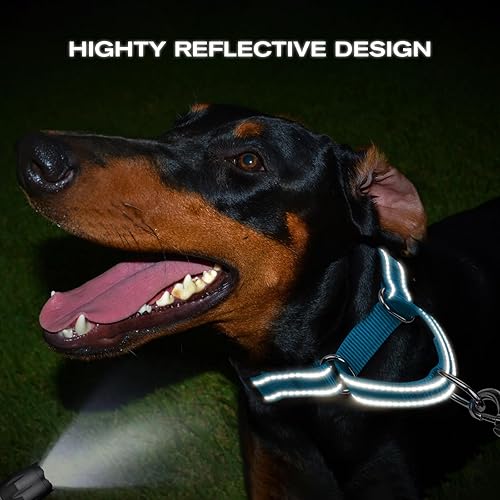 Miniatura 5 de Joytale - Collar Martingale para perros, reflectante de alta resistencia para la seguridad, hebilla de liberación rápida, collares ajustables de