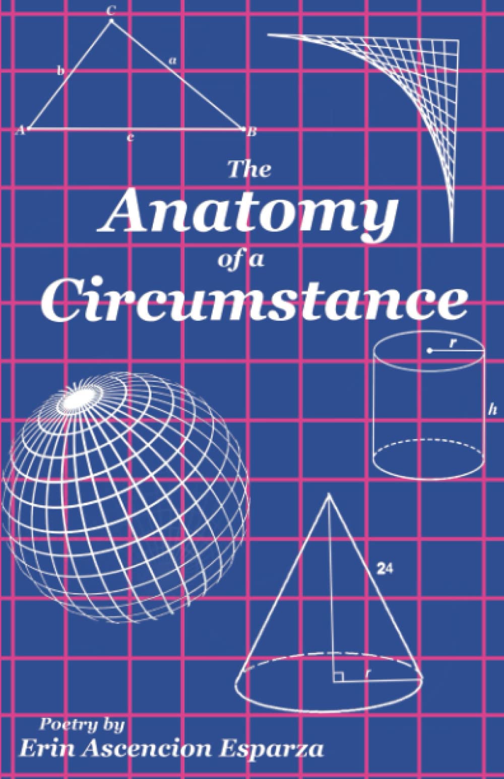 The Anatomy of a Circumstance