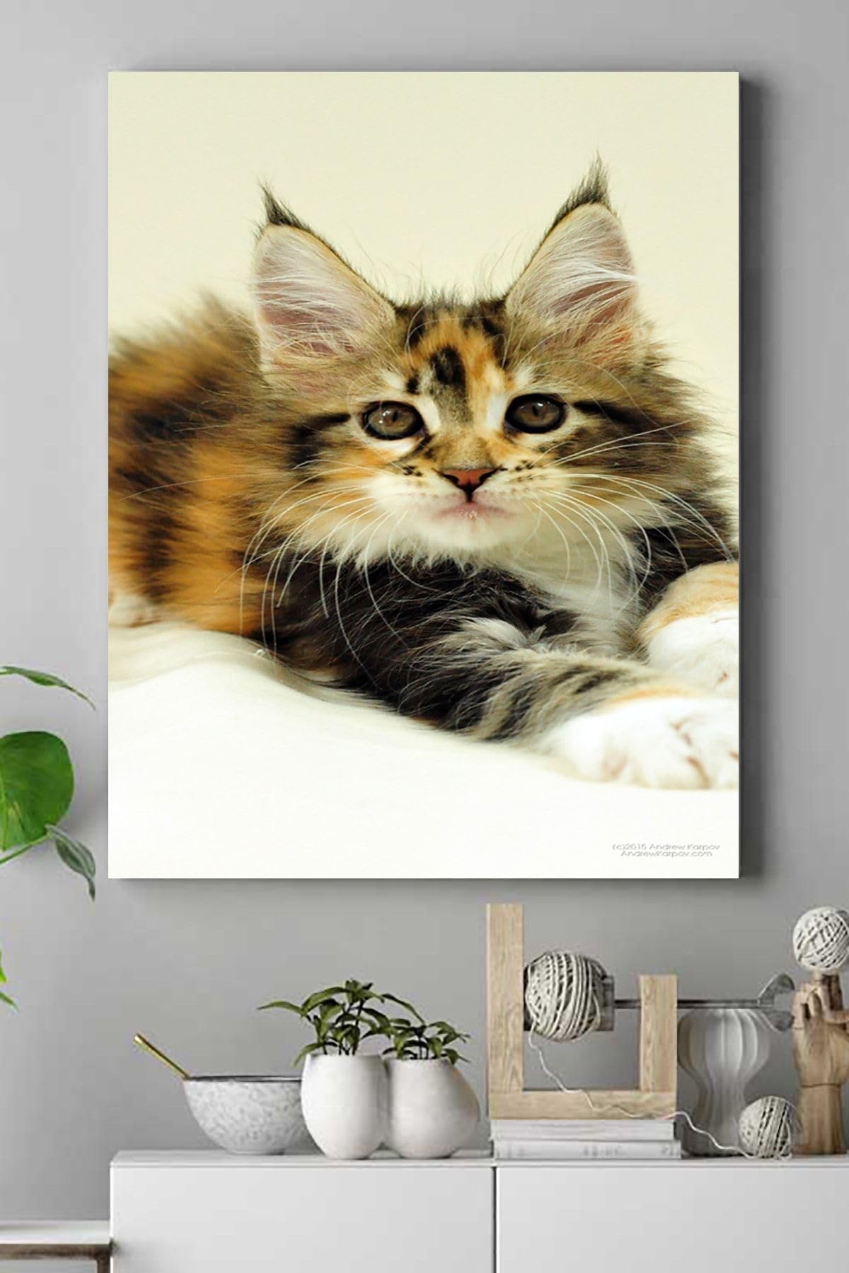 Postermanya (pster16487) Kedi Hayvan Kanvas Tablo 5 50 x 70