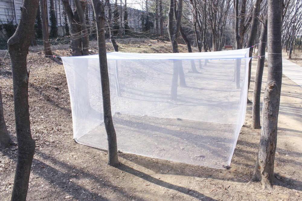 Super Extra Large Mosquito net Bedroom Insect Canopy Camping Netting 9-10 Person Not Bleach-Treated