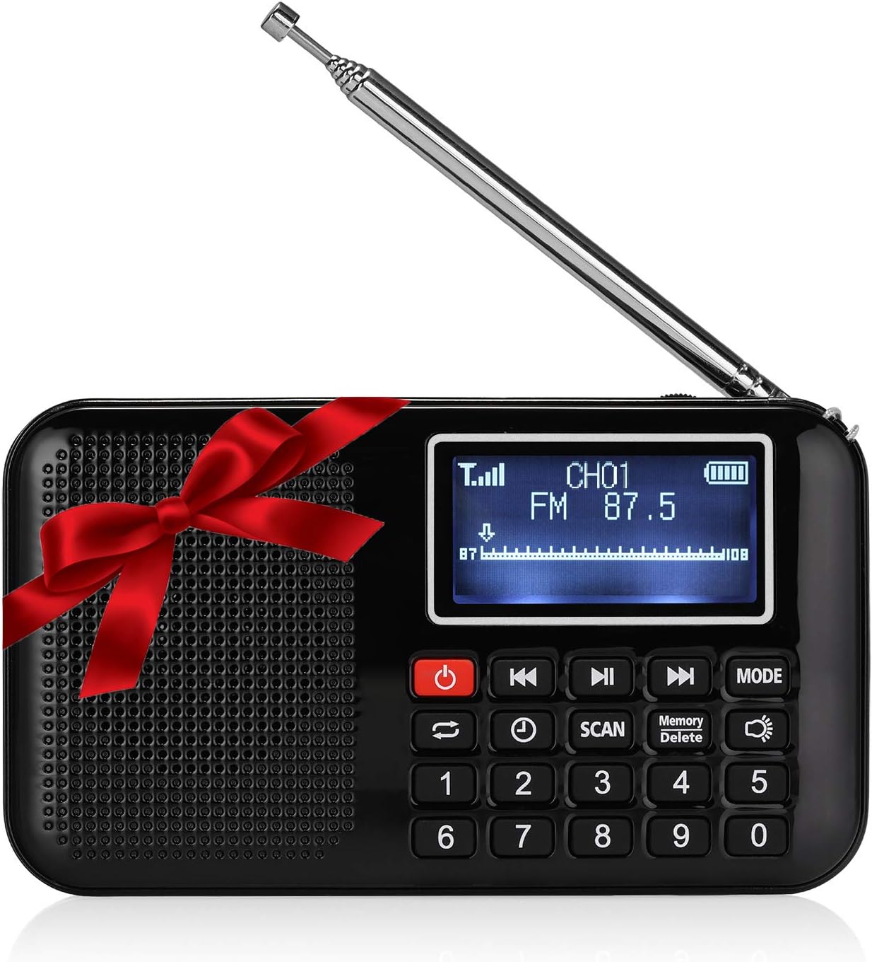 Raddy RF28 Portable FM Pocket Radio, Support USB/MP3/AUX/TF Card Music Player Speaker, Digital Tuning, Rechargeable Battery Operated with Flashligh, Sleep Timer (Black)