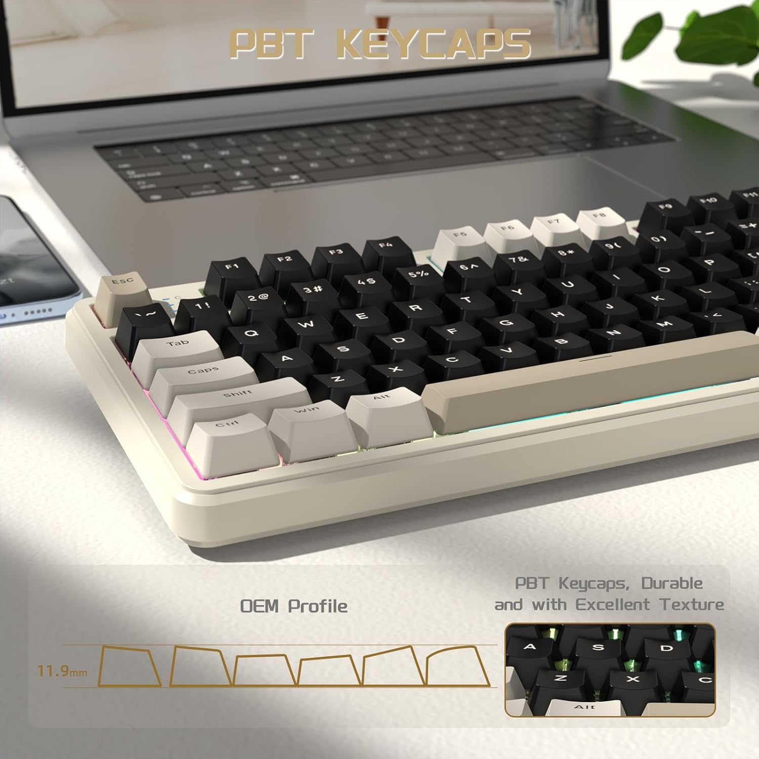 Close-up of PBT keycaps and OEM profile diagram