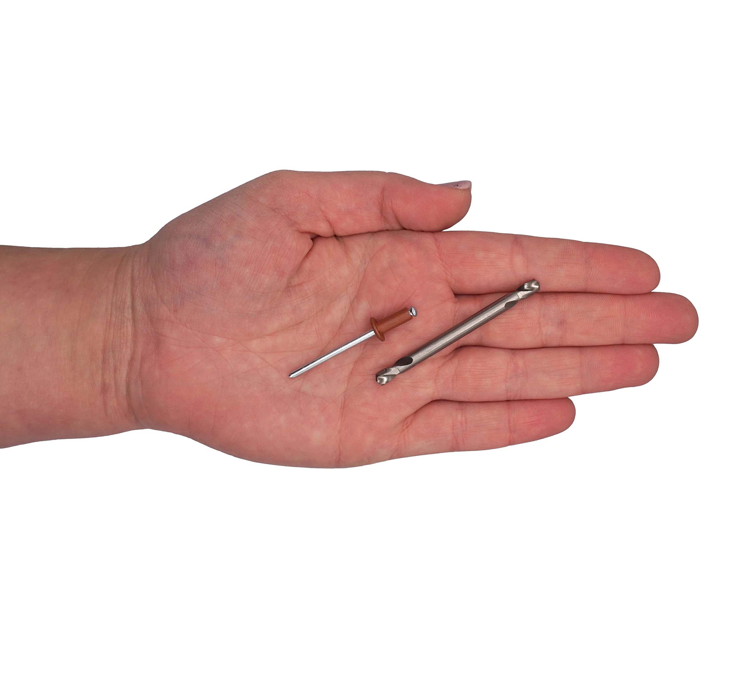 SKIR'CO (100 pz) Rivetti ciechi verniciati 4,0 x 10 mm, Rivetti Pop in alluminio, punta per trapano inclusa (rame marrone RAL 8004)